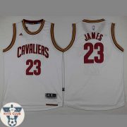 CAVS04_JAMES_1