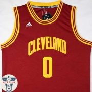 CAVS14_LOVE_2
