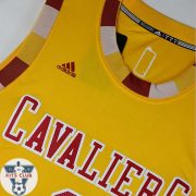 CAVS17_LOVE_3