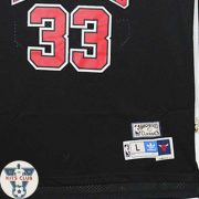 Bulls03_web_Pippen04