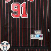 Bulls04_web_Rodman04