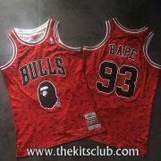 BULLS-NESS-BAPE-web-01 BULLS-NESS-BAPE-web-01