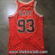 BULLS-NESS-BAPE-web-03 BULLS-NESS-BAPE-web-03