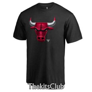 טי שירט שיקגו בולס 5310