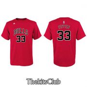 BULLS-PIPPEN-web-03