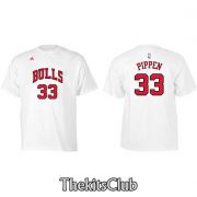 BULLS-PIPPEN-web-05