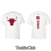 BULLS-RODMAN-web-02