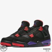 AJ4-RAPTORS-web-01