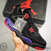 AJ4-RAPTORS-web-04