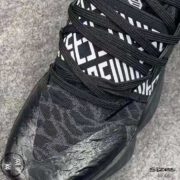 HARDEN-4-03-web-05 HARDEN-4-03-web-05