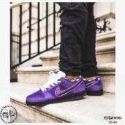 SB-DUNK-LOBSTER-web-03