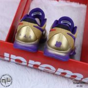 Kobe-Protro-5-HALL-OF-FAME-web-03