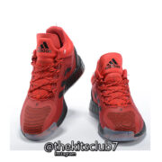 D-ROSE-11-Red-02–