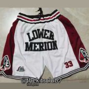JUSTDON-LOWER-MERION-web-01